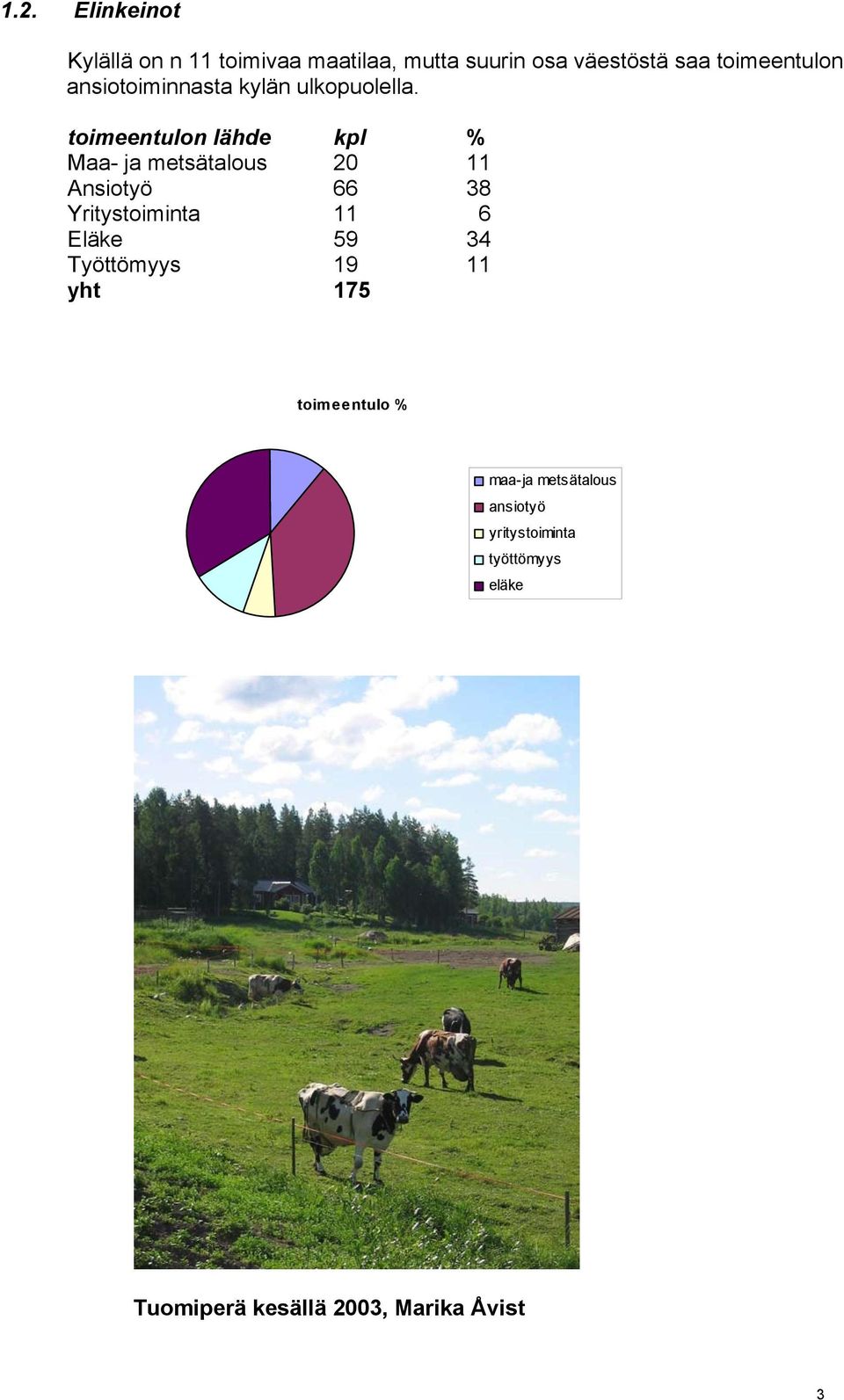 toimeentulon lähde kpl % Maa- ja metsätalous 20 11 Ansiotyö 66 38 Yritystoiminta 11 6 Eläke