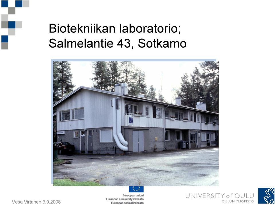 Salmelantie