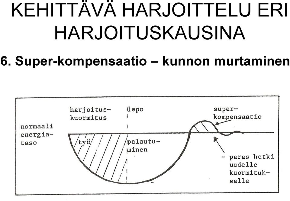 HARJOITUSKAUSINA 6.