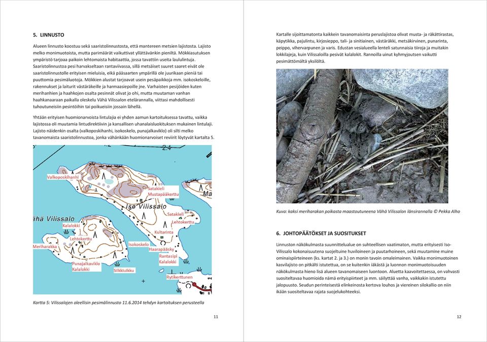 Saaristolinnustoa pesi harvakseltaan rantaviivassa, sillä metsäiset suuret saaret eivät ole saaristolinnustolle erityisen mieluisia, eikä pääsaarten ympärillä ole juurikaan pieniä tai puuttomia