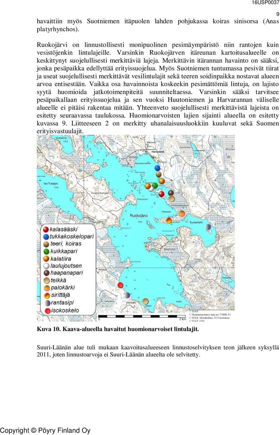 Varsinkin Ruokojärven itäreunan kartoitusalueelle on keskittynyt suojelullisesti merkittäviä lajeja. Merkittävin itärannan havainto on sääksi, jonka pesäpaikka edellyttää erityissuojelua.