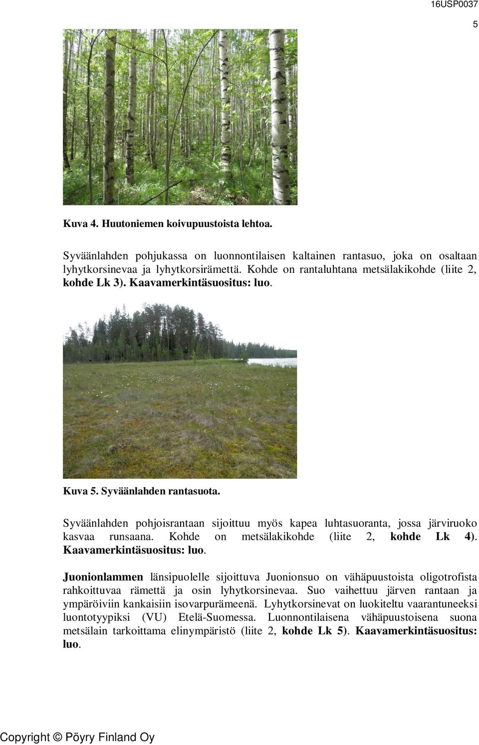 Syväänlahden pohjoisrantaan sijoittuu myös kapea luhtasuoranta, jossa järviruoko kasvaa runsaana. Kohde on metsälakikohde (liite 2, kohde Lk 4). Kaavamerkintäsuositus: luo.