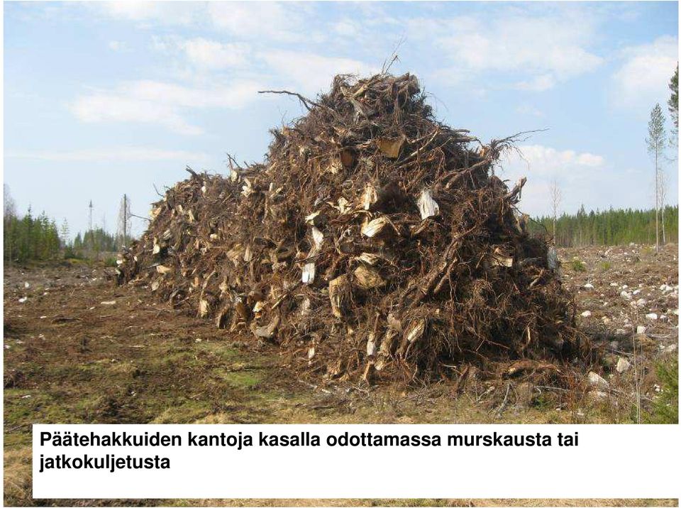 odottamassa