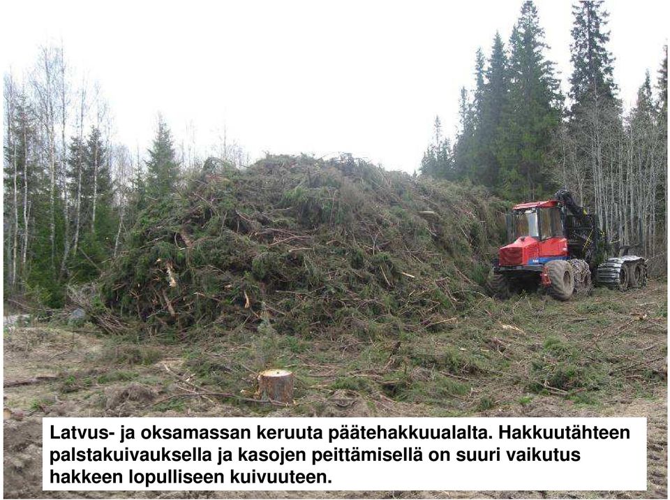 Hakkuutähteen palstakuivauksella ja