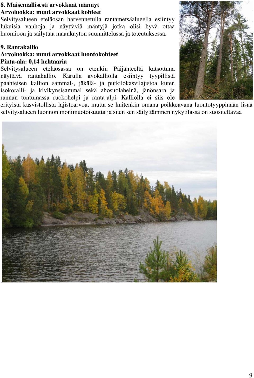 Rantakallio Arvoluokka: muut arvokkaat luontokohteet Pinta-ala: 0,14 hehtaaria Selvitysalueen eteläosassa on etenkin Päijänteeltä katsottuna näyttävä rantakallio.