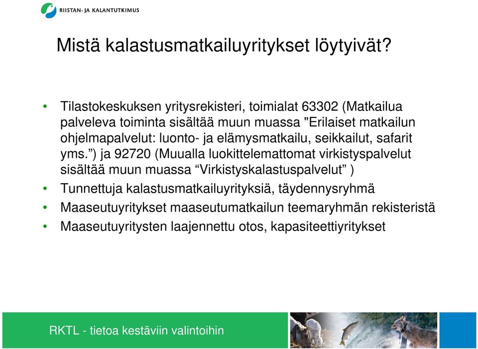 ohjelmapalvelut: luonto- ja elämysmatkailu, seikkailut, safarit yms.