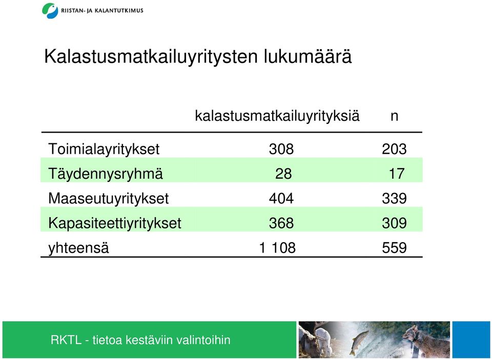 308 203 Täydennysryhmä 28 17 Maaseutuyritykset