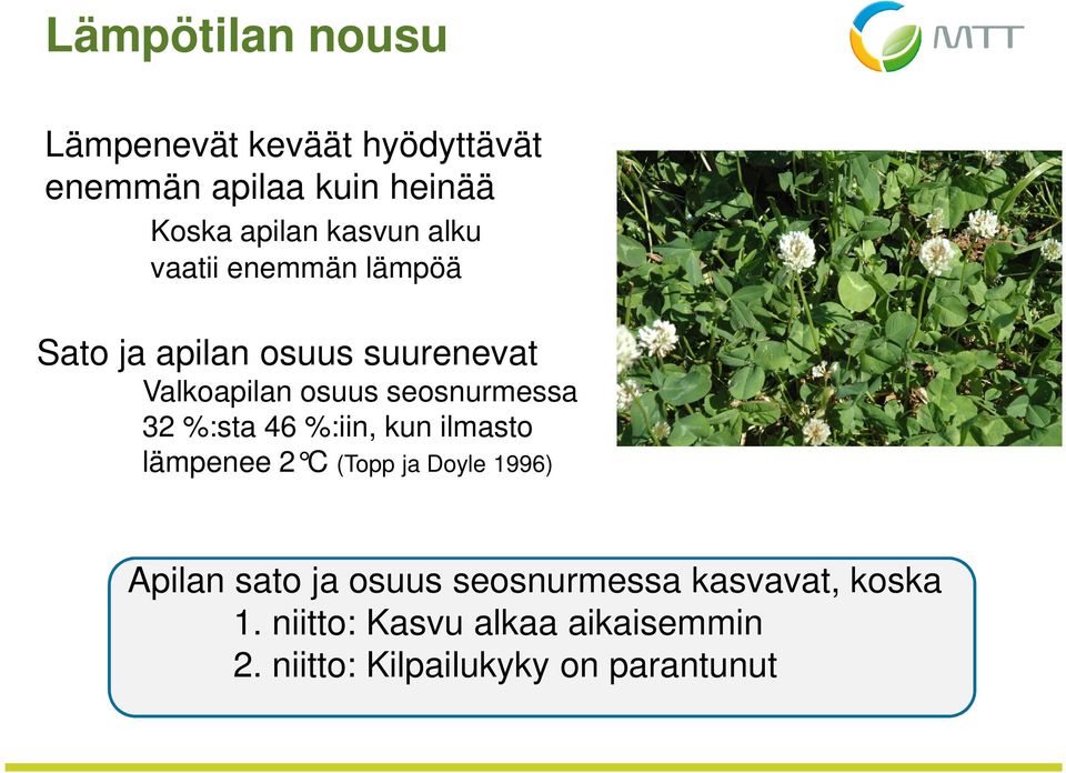 seosnurmessa 32 %:sta 46 %:iin, kun ilmasto lämpenee 2 C (Topp ja Doyle 1996) Apilan sato ja