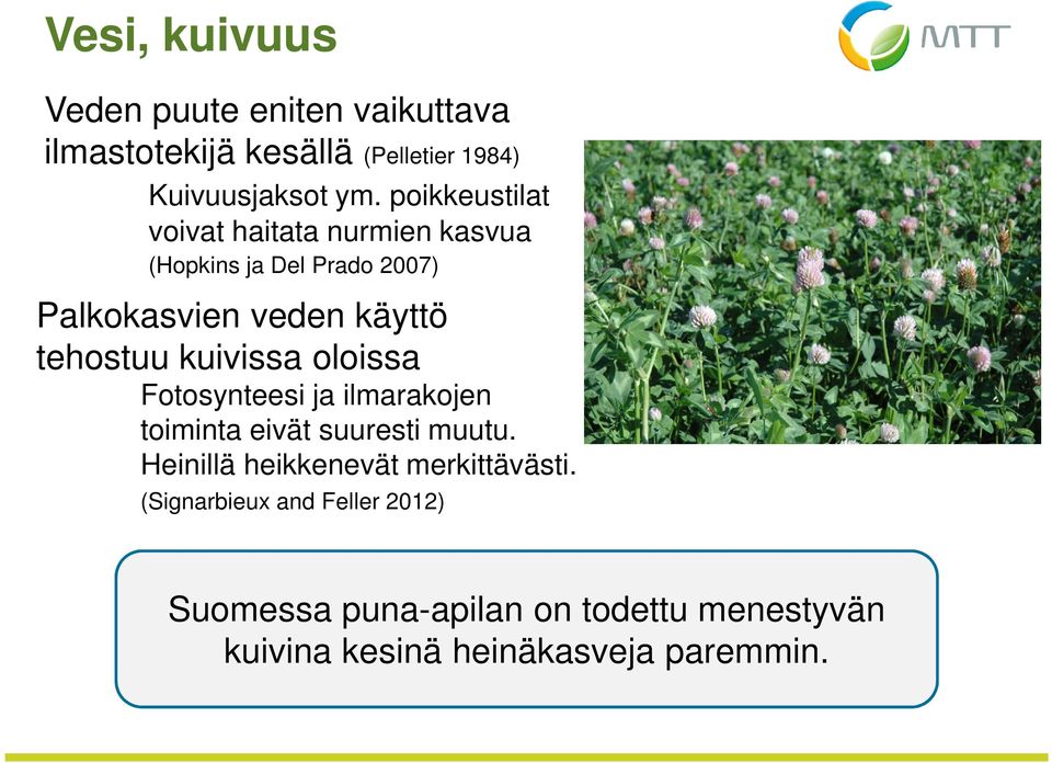 kuivissa oloissa Fotosynteesi ja ilmarakojen toiminta eivät suuresti muutu.