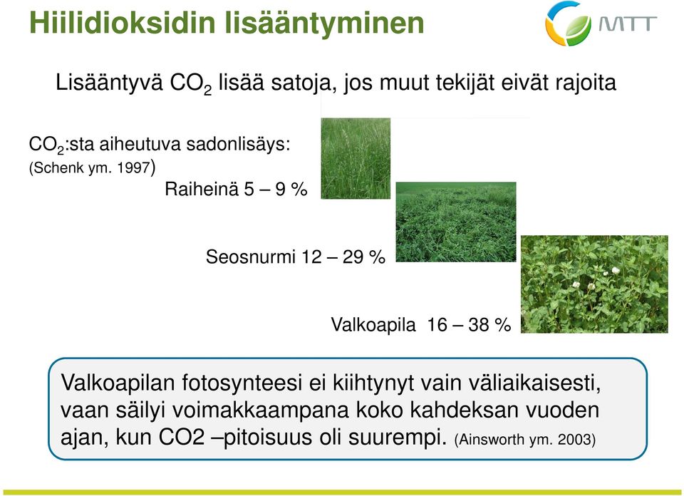 1997) Raiheinä 5 9 % Seosnurmi 12 29 % Valkoapila 16 38 % Valkoapilan fotosynteesi ei