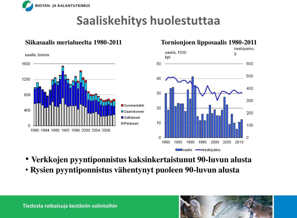 pyyntiponnistus kaksinkertaistunut 90-luvun alusta