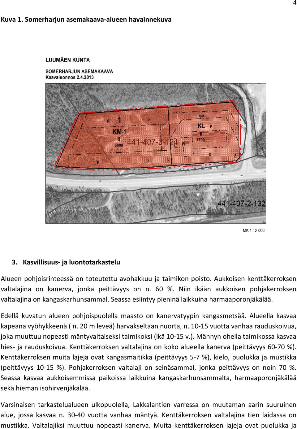 Seassa esiintyy pieninä laikkuina harmaaporonjäkälää. Edellä kuvatun alueen pohjoispuolella maasto on kanervatyypin kangasmetsää. Alueella kasvaa kapeana vyöhykkeenä ( n.