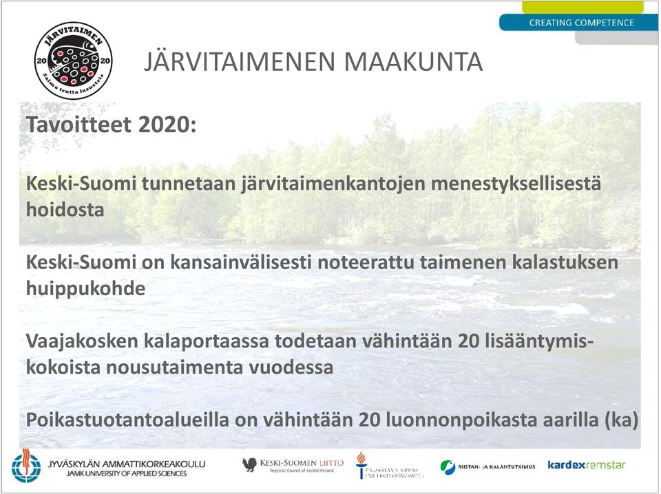 kalastuksen huippukohde Vaajakosken kalaportaassa todetaan vähintään 20