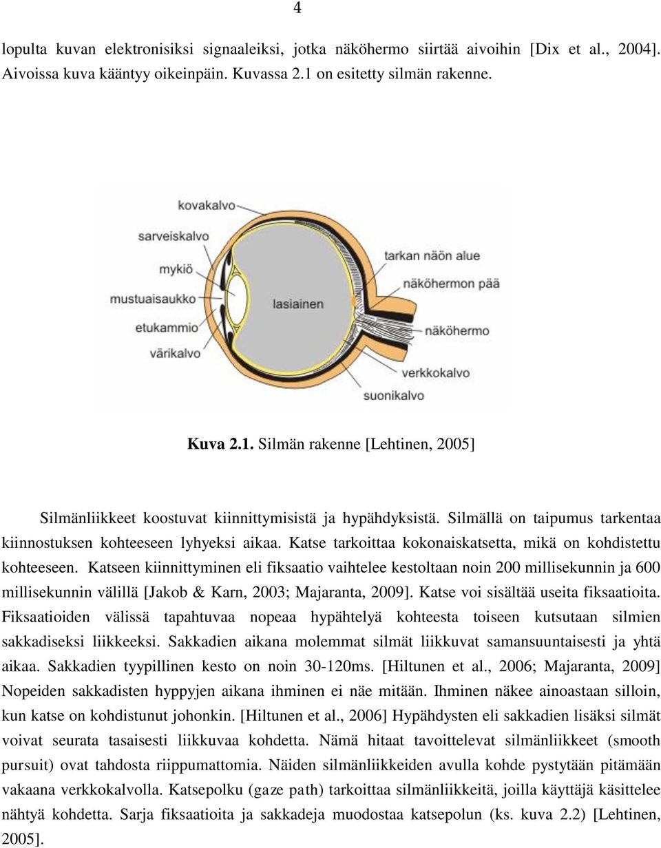 Silmällä on taipumus tarkentaa kiinnostuksen kohteeseen lyhyeksi aikaa. Katse tarkoittaa kokonaiskatsetta, mikä on kohdistettu kohteeseen.