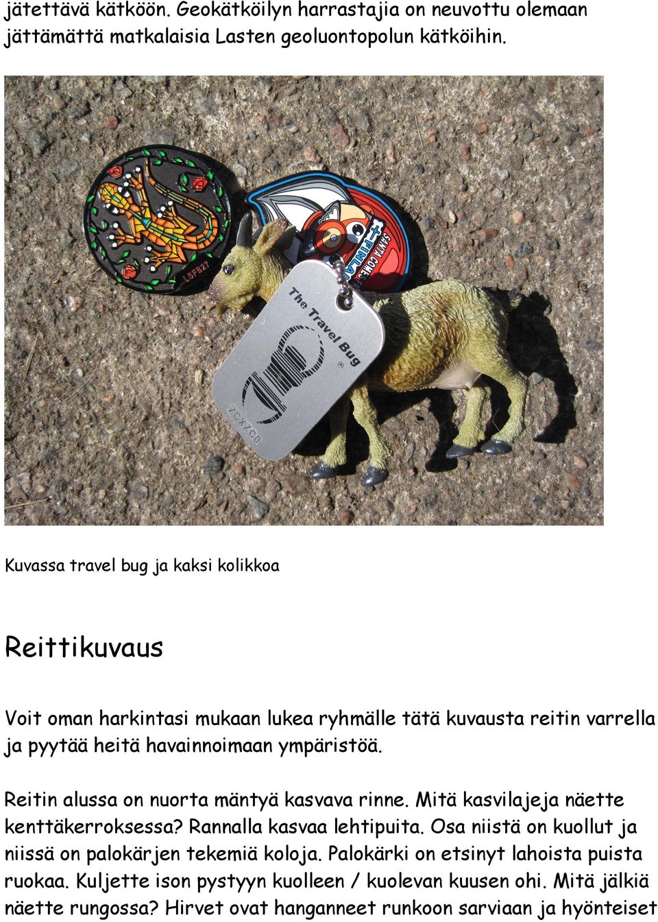 ympäristöä. Reitin alussa on nuorta mäntyä kasvava rinne. Mitä kasvilajeja näette kenttäkerroksessa? Rannalla kasvaa lehtipuita.