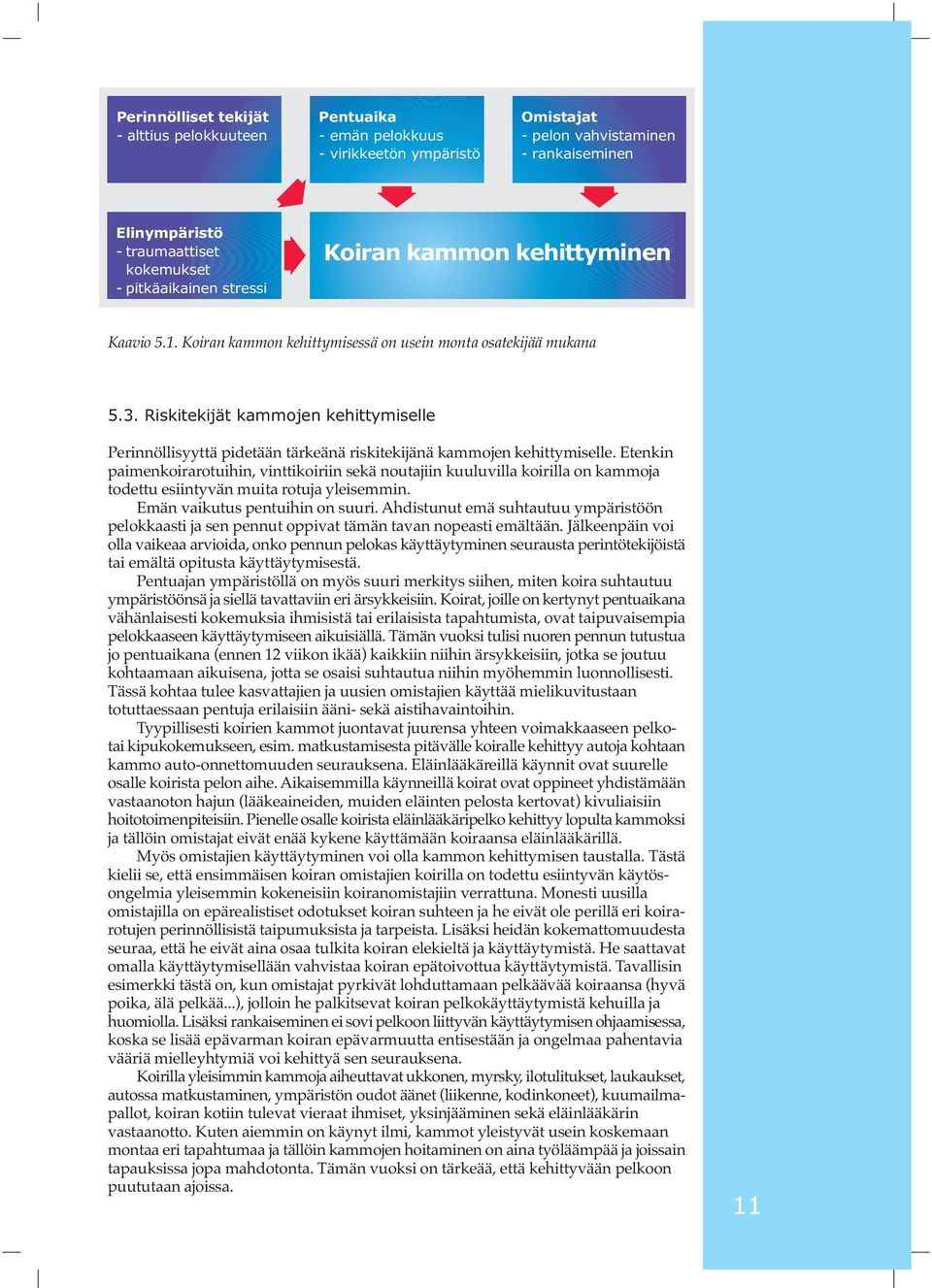 Riskitekijät kammojen kehittymiselle Perinnöllisyyttä pidetään tärkeänä riskitekijänä kammojen kehittymiselle.