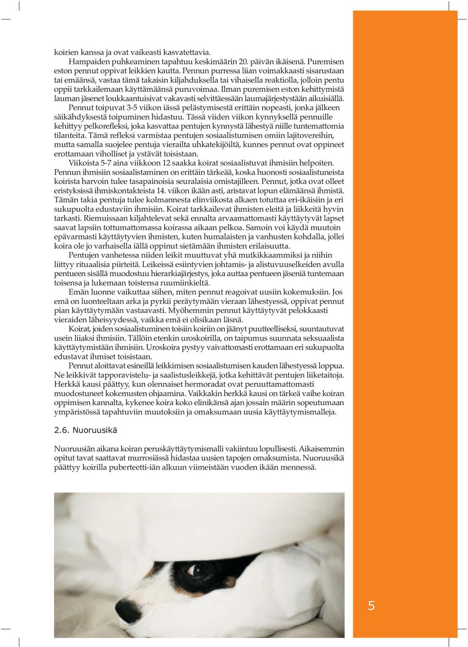 Ilman puremisen eston kehittymistä lauman jäsenet loukkaantuisivat vakavasti selvittäessään laumajärjestystään aikuisiällä.
