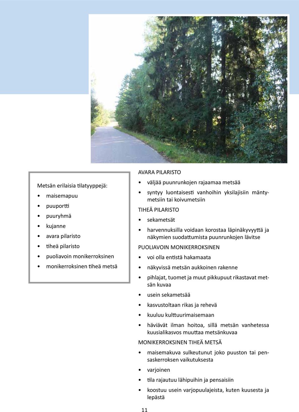 puunrunkojen lävitse PUOLIAVOIN MONIKERROKSINEN voi olla entistä hakamaata näkyvissä metsän aukkoinen rakenne pihlajat, tuomet ja muut pikkupuut rikastavat metsän kuvaa usein sekametsää kasvustoltaan
