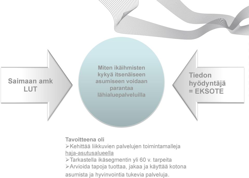 toimintamalleja haja-asutusalueella Tarkastella ikäsegmentin yli 60 v.