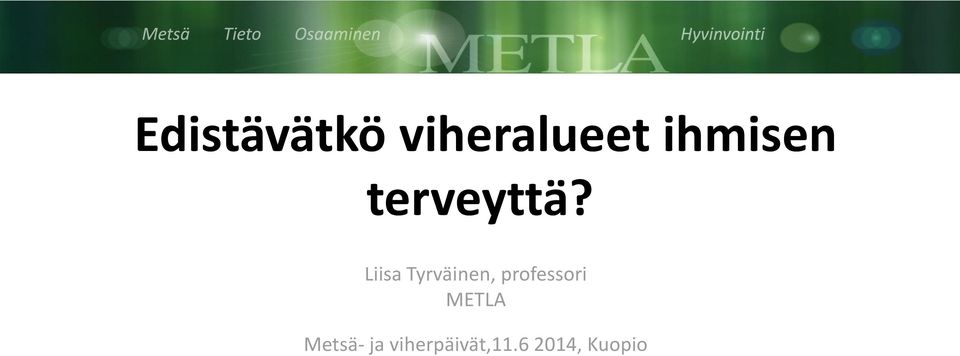 Liisa Tyrväinen, professori