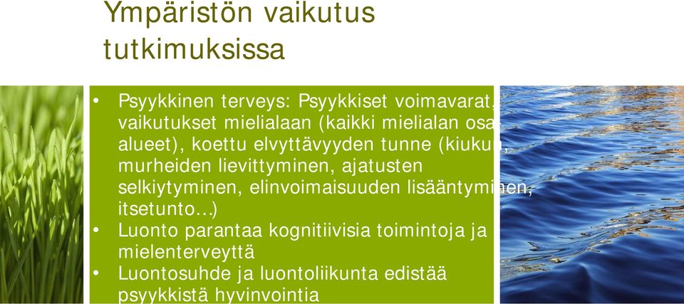 lievittyminen, ajatusten selkiytyminen, elinvoimaisuuden lisääntyminen, itsetunto ) Luonto