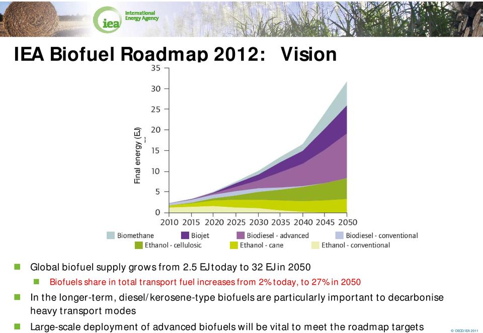 2050 In the longer-term, diesel/kerosene-type biofuels are particularly important to decarbonise