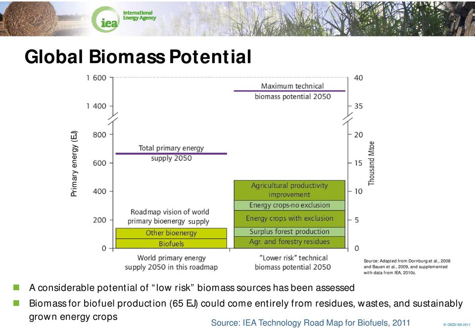 , 2009, and supplemented with data from IEA, 2010c.