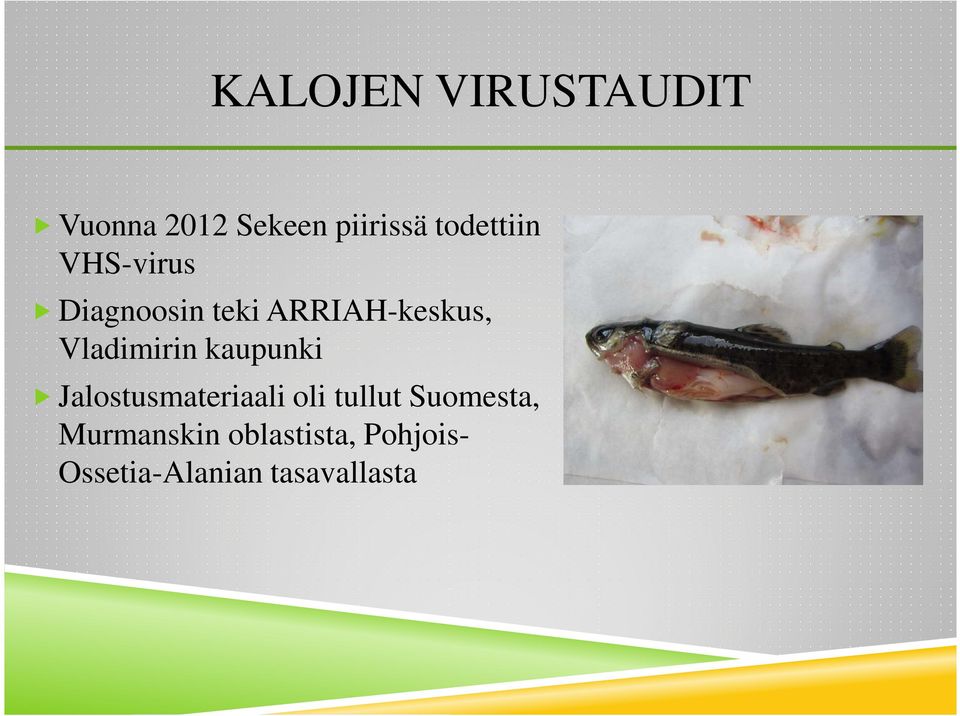 Vladimirin kaupunki Jalostusmateriaali oli tullut