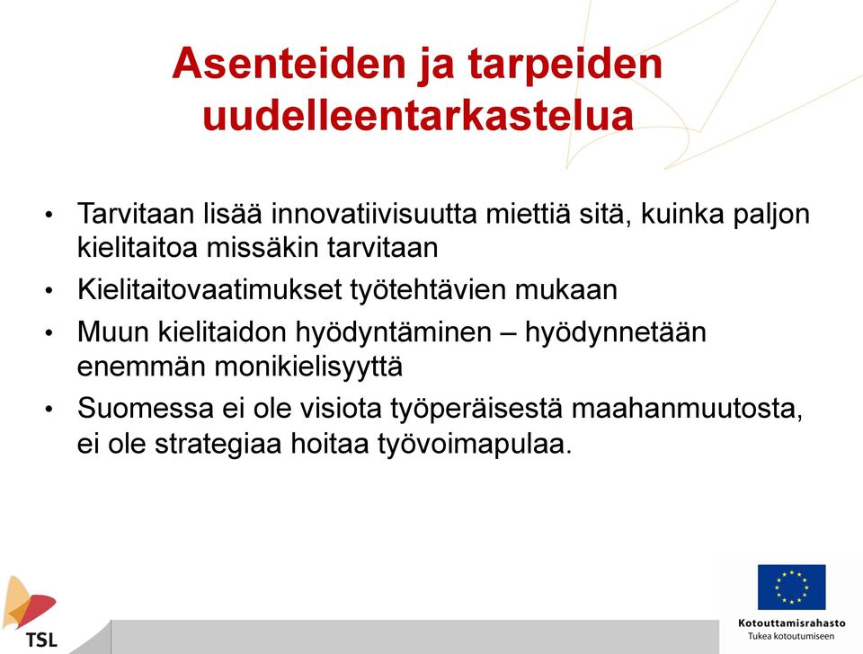 työtehtävien mukaan Muun kielitaidon hyödyntäminen hyödynnetään enemmän