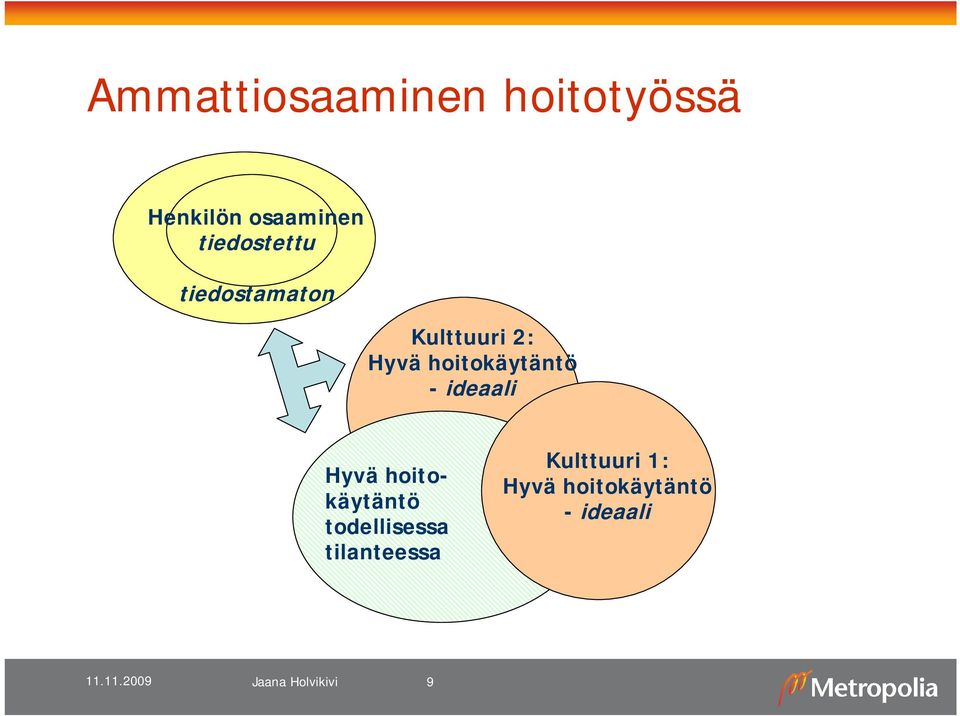 hoitokäytäntö - ideaali Hyvä hoitokäytäntö