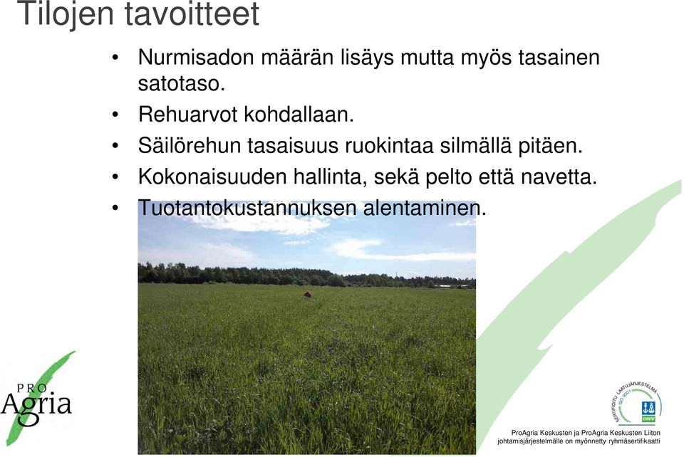 Säilörehun tasaisuus ruokintaa silmällä pitäen.