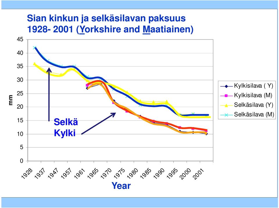 Kylki Kylkisilava ( Y) Kylkisilava (M) Selkäsilava (Y) Selkäsilava (M)