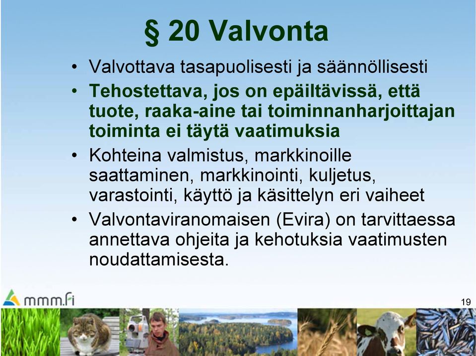 markkinoille saattaminen, markkinointi, kuljetus, varastointi, käyttö ja käsittelyn eri vaiheet