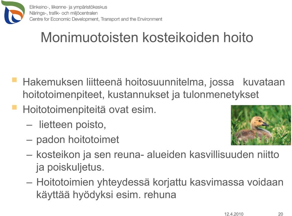 lietteen poisto, padon hoitotoimet kosteikon ja sen reuna- alueiden kasvillisuuden niitto ja