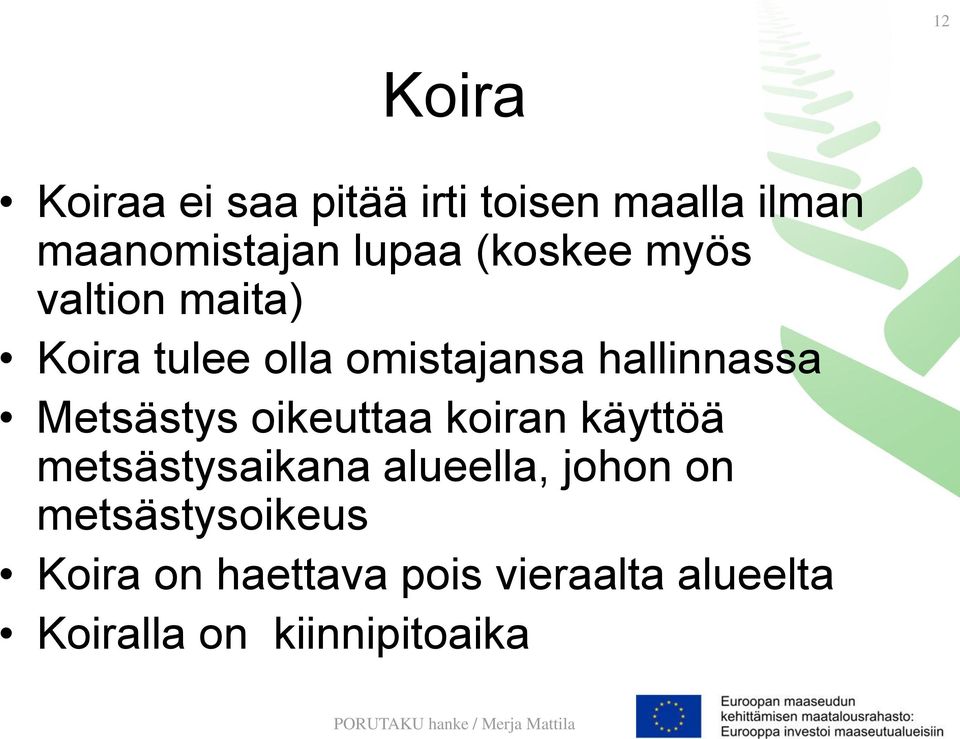 Metsästys oikeuttaa koiran käyttöä metsästysaikana alueella, johon on