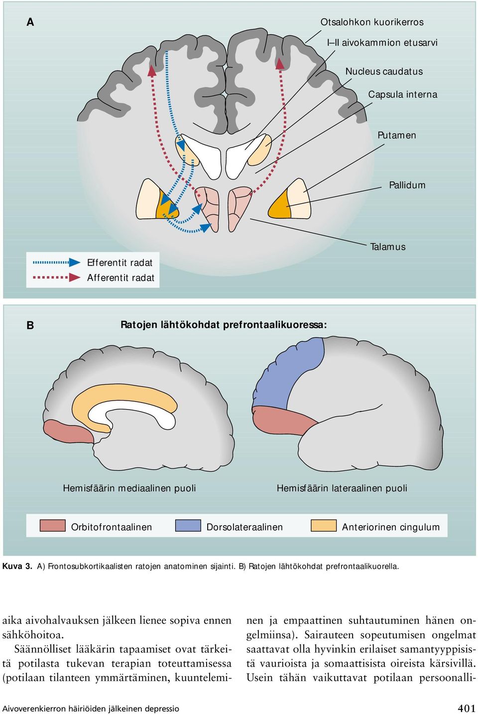 B) Ratojen lähtökohdat prefrontaalikuorella. aika aivohalvauksen jälkeen lienee sopiva ennen sähköhoitoa.