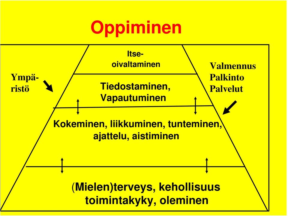 Palvelut Kokeminen, liikkuminen, tunteminen,