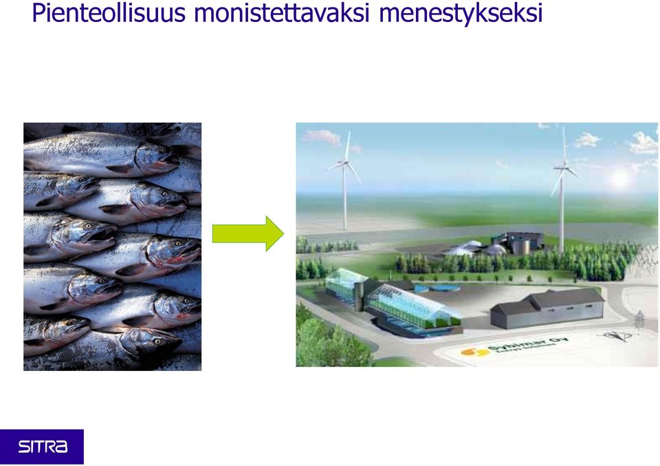 menestykseksi