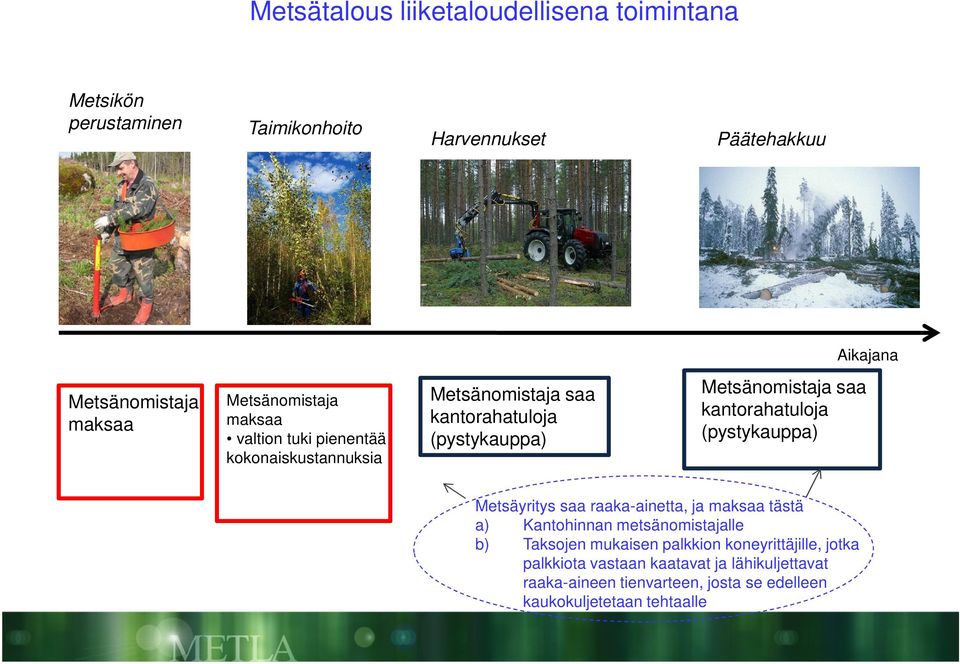 kantorahatuloja (pystykauppa) Metsäyritys saa raaka-ainetta, ja maksaa tästä a) Kantohinnan metsänomistajalle b) Taksojen mukaisen