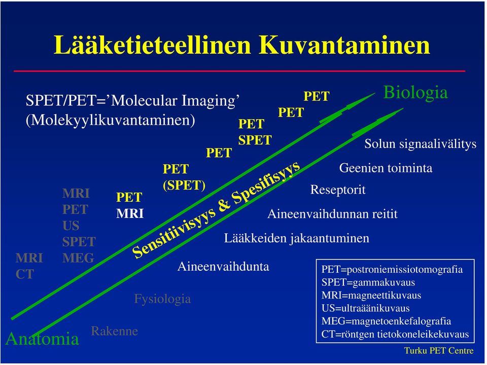 Aineenvaihdunnan reitit Lääkkeiden jakaantuminen Biologia Solun signaalivälitys Geenien toiminta