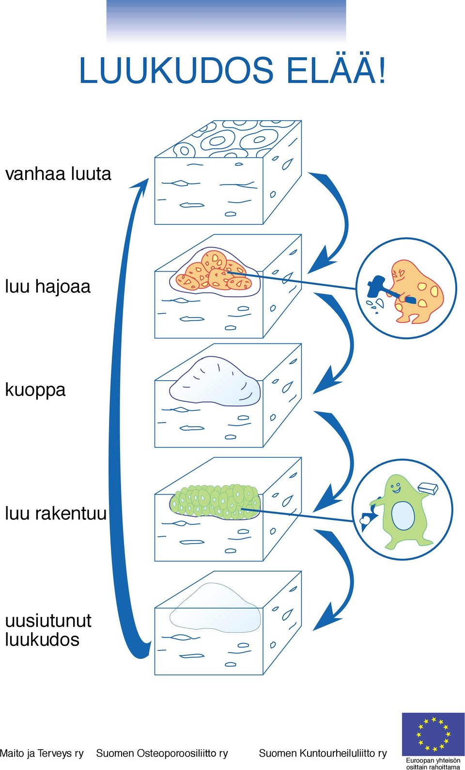 hajoaa kuoppa luu