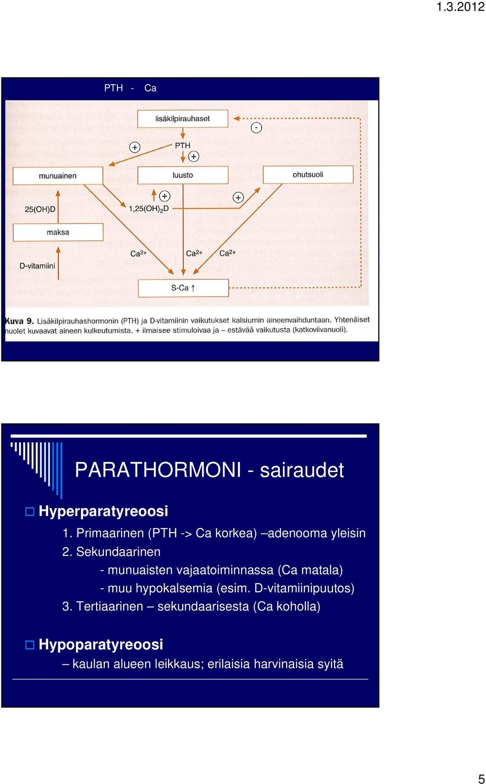 Sekundaarinen - munuaisten vajaatoiminnassa (Ca matala) - muu hypokalsemia (esim.