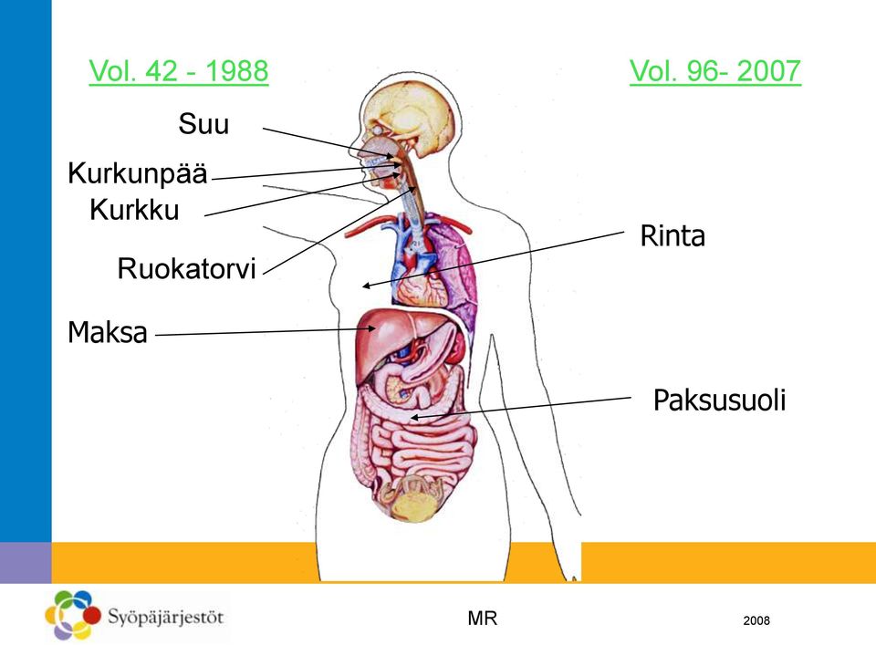 Kurkunpää Kurkku