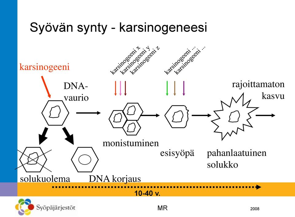 kasvu solukuolema monistuminen