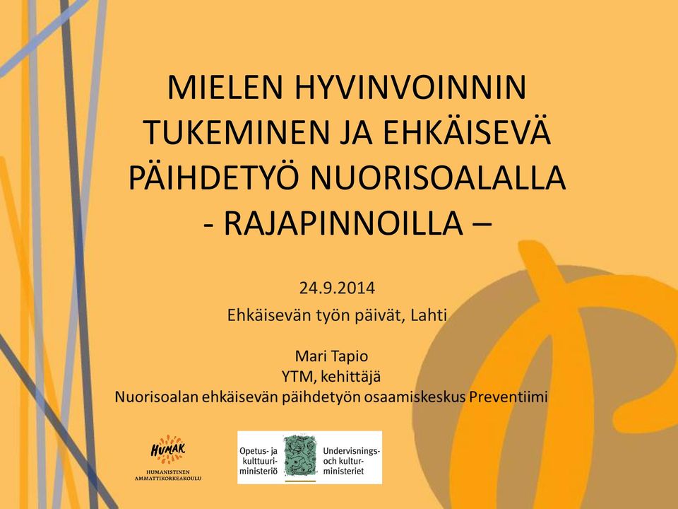 NUORISOALALLA - RAJAPINNOILLA