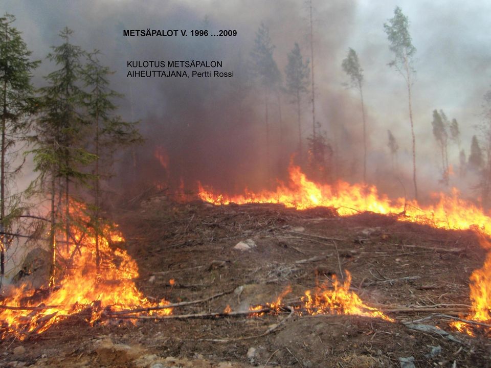 METSÄPALON