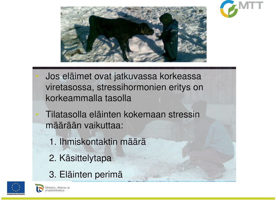 Tilatasolla eläinten kokemaan stressin määrään