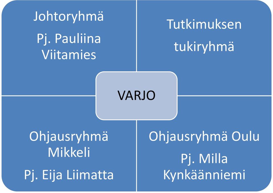 tukiryhmä VARJO Ohjausryhmä