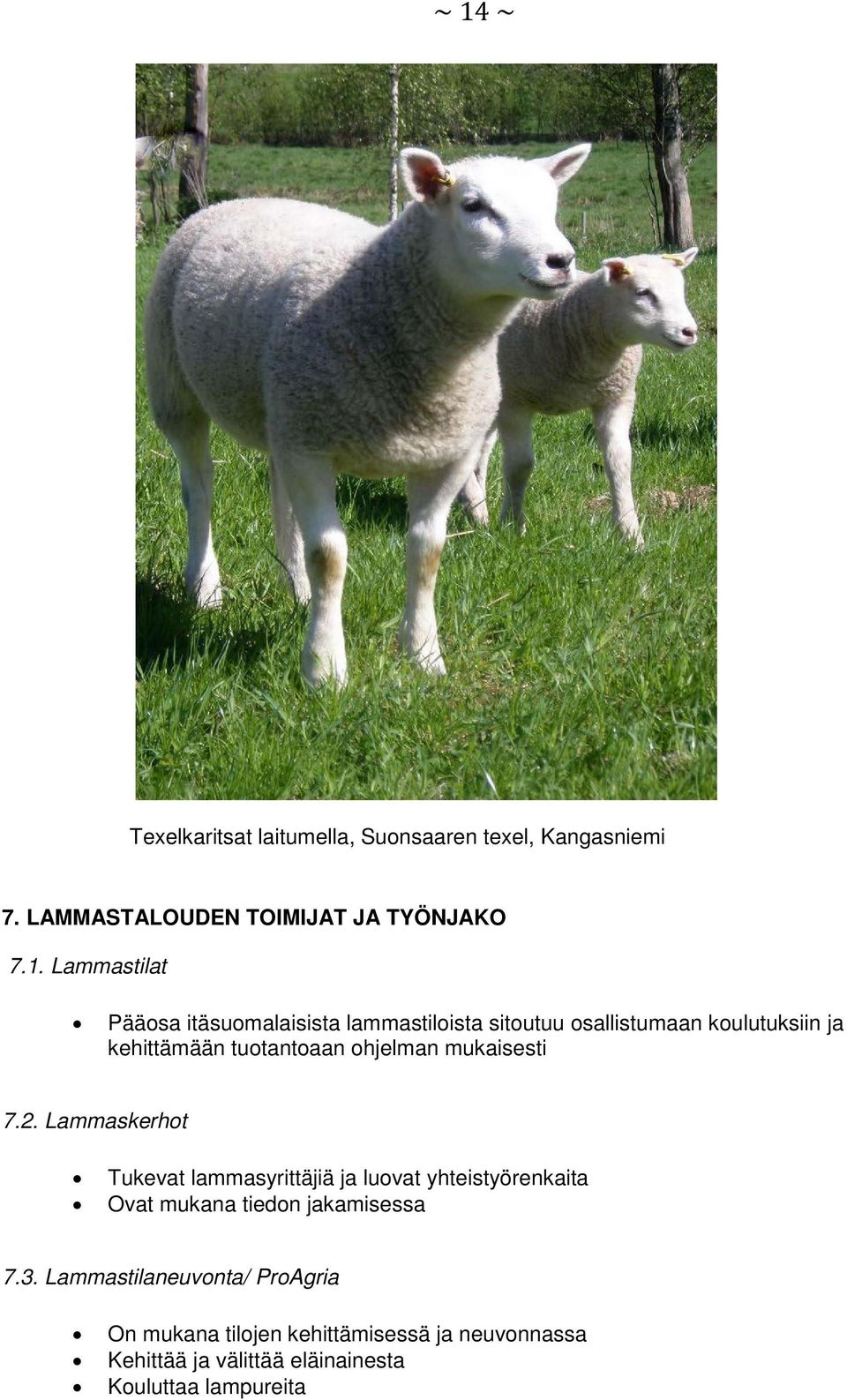 mukaisesti 7.2. Lammaskerhot Tukevat lammasyrittäjiä ja luovat yhteistyörenkaita Ovat mukana tiedon jakamisessa 7.3.
