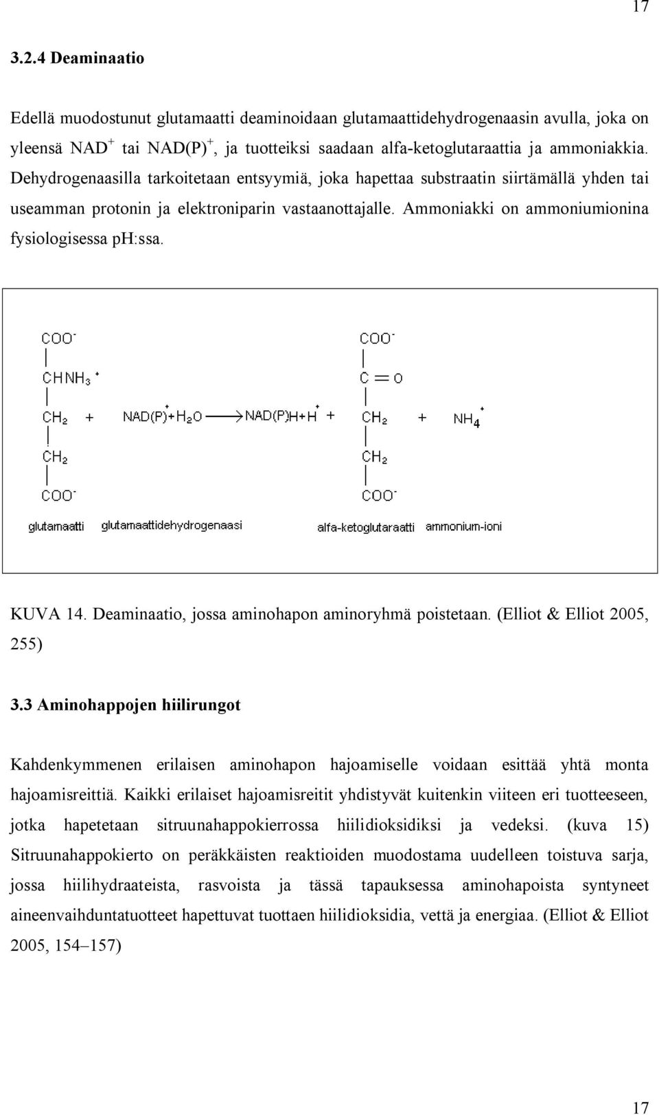 KUVA 14. Deaminaatio, jossa aminohapon aminoryhmä poistetaan. (Elliot & Elliot 2005, 255) 3.